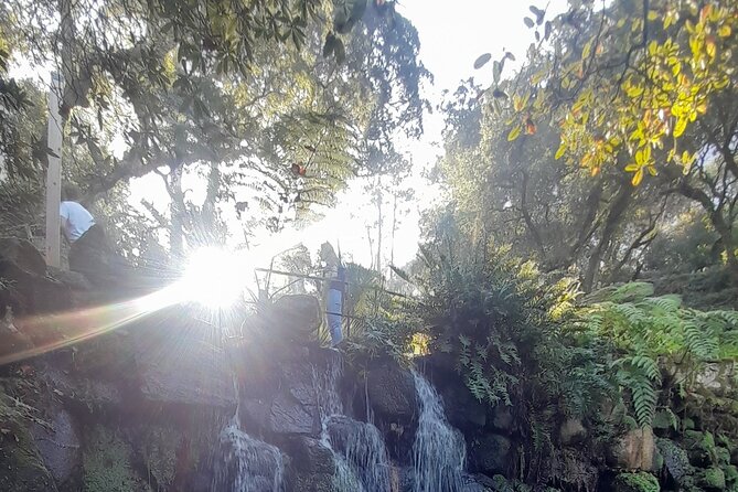 Sintra Private Tour 2 Palaces Roca Cascais Tailored up to 7 - Price and value: what $718 buys you (and what it doesn’t)