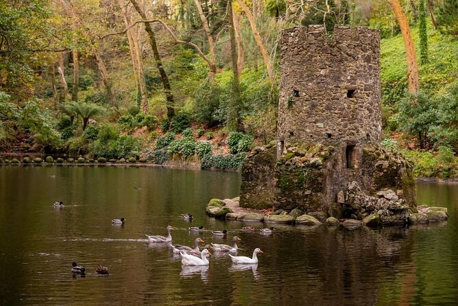 Sintra Private Tour with Tickets: Pena Palace & Moorish Castle - Stop 1: Sintra Mountains and Sabuga Fountain for the local nature break