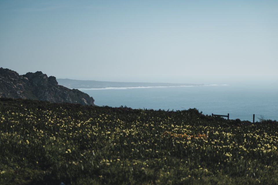 Sintra: Regaleira, Cabo da Roca and Cascais Jeep Safari Tour - Small-Group Reality: The Guide Makes a Difference