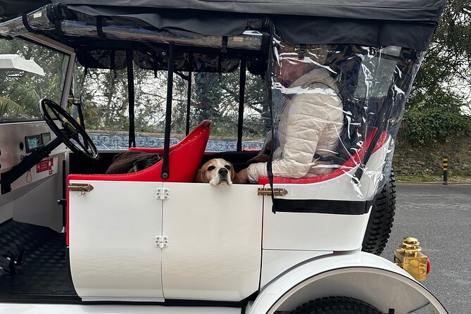 Sintra Tour by Electric Tuk Tuk - Weather reality: Sintra is dramatic, but it plays by the rules