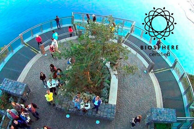 Skywalk, Amazing Views & Wine Tasting in Open Roof 4x4 Adventure - Why This Open-Roof 4x4 From Funchal Feels Special