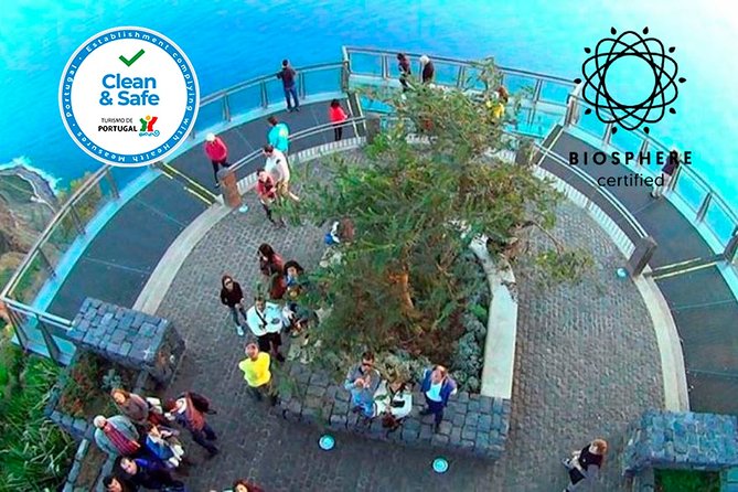 Skywalk, Amazing Views & Wine Tasting in Open Roof 4x4 Adventure - Wine Tasting and Poncha Stops: What You Can Realistically Expect