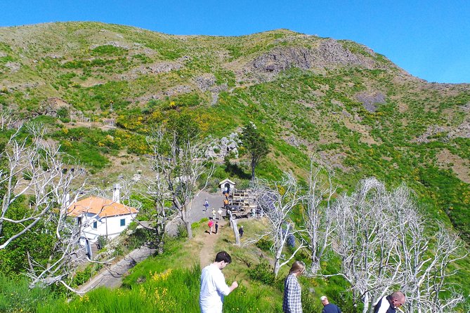 Skywalk, Amazing Views & Wine Tasting in Open Roof 4x4 Adventure - Price and Value: Why $54.44 Often Feels Like a Deal