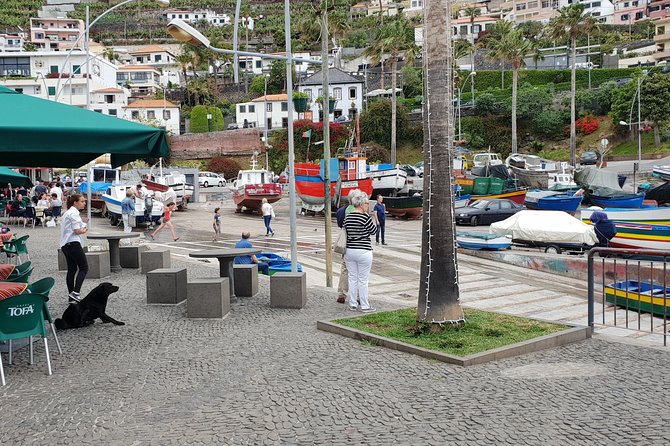 SkyWalk - Cape Giron + Fisherman Village by tuk-tuk - Miradouro do Rancho: the quick viewpoint that sets the scene