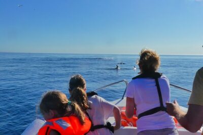 Small Group Dolphin and Wildlife Watching Tour in Faro - Meeting Point and How the Morning Cruise Works