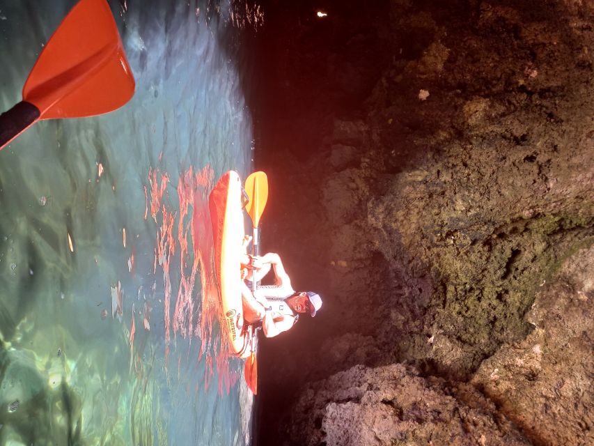 Small-group Kayak experience at Ponta da Piedade - Key Highlights to Expect