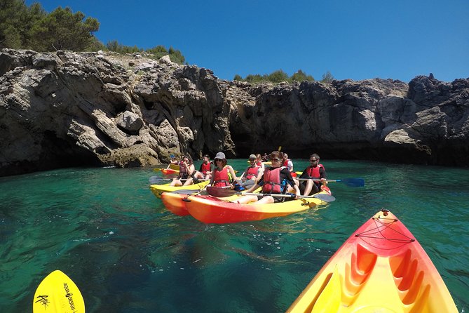Small Group Kayak Tour along Sesimbra - Arrábida Natural Park - Price and value: is $48.01 worth it?