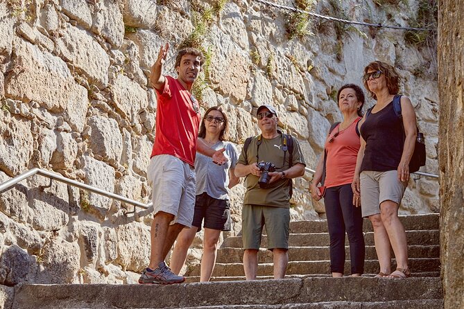 Small Group Secrets of Porto Walking Tour - Henry the Navigator Statue: Exploration Stories in a Walkable Zone