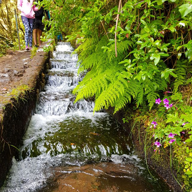 Small Group Walks Rabaçal 25 Fontes - Why Rabaçal 25 Fontes feels different than a typical Madeira hike