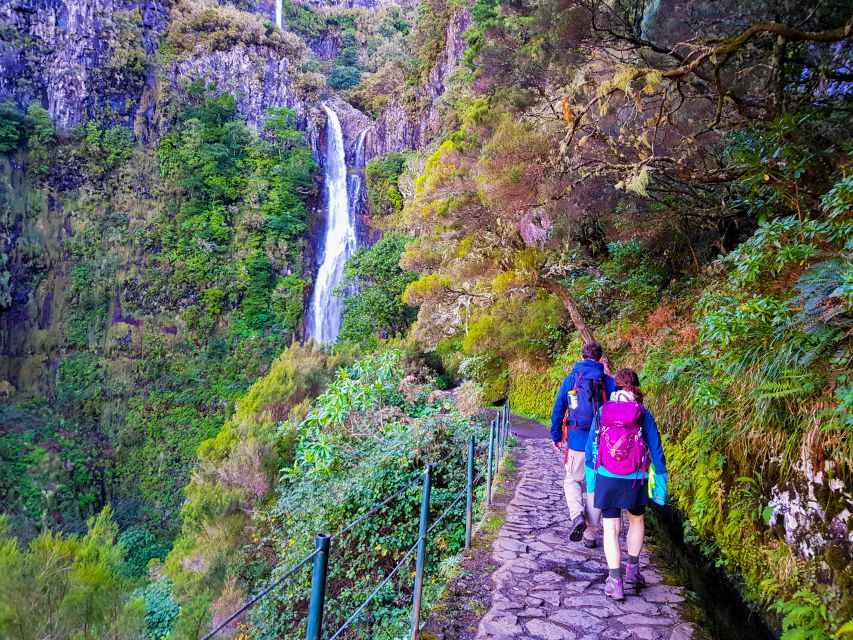 Small Group Walks Rabaçal 25 Fontes - The walk’s signature moment: tunnels, narrow spots, and wet ground