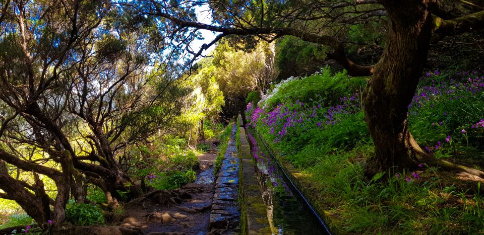 Small Group Walks Rabaçal 25 Fontes - Reaching the 25 springs lagoon and the waterfall finish