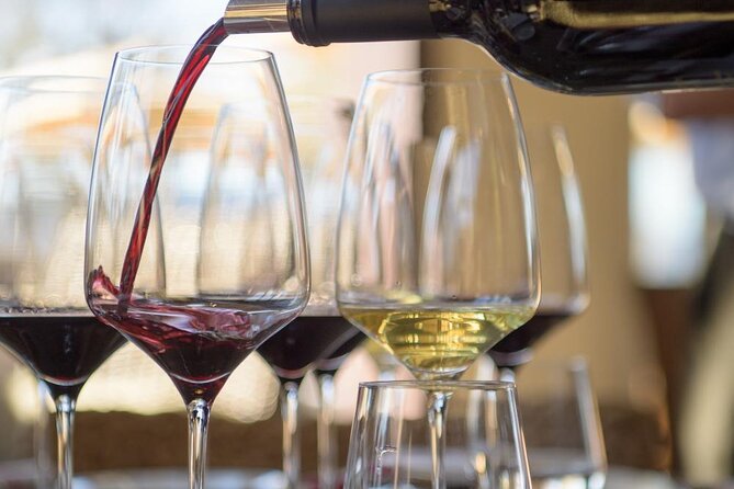 Small group Wine Tasting Tour from Lagos - Quinta do Frances Winery: three Algarve wines and a production-room visit