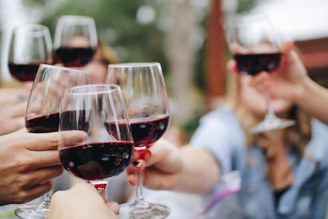 Small group Wine Tasting Tour from Lagos - The guide makes it: Rui, António, and how the story lands