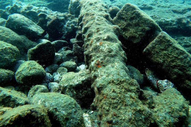 Snorkeling in Vila Franca do Campo - Snorkeling at Vila Franca do Campo Islet: what you’re really paying for