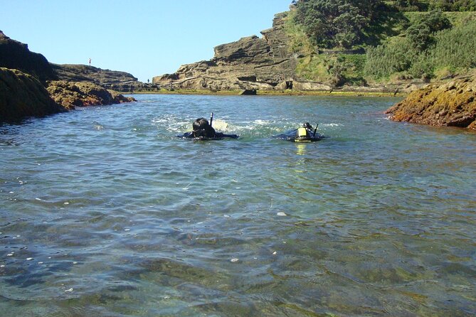 Snorkeling in Vila Franca do Campo - Guide team, small groups, and the “patient support” effect