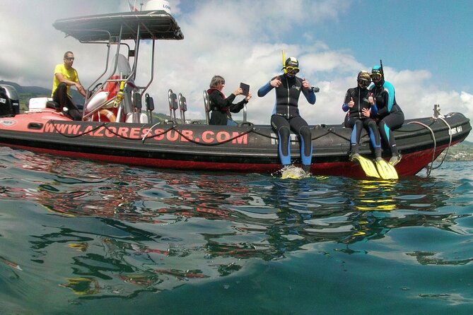 Snorkeling in Vila Franca do Campo - Who this trip fits best (and who might rethink it)