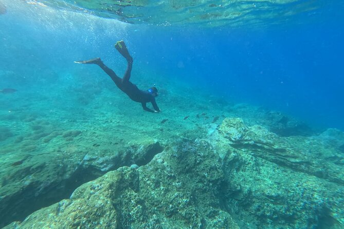 Snorkeling Tour Ilhéu from Vila Franca do Campo - Key things I’d plan around