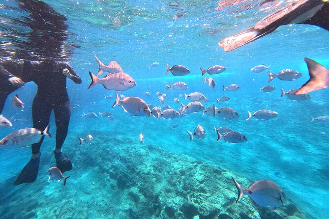 Snorkeling Tour Ilhéu from Vila Franca do Campo - Price and value: $30.12 for gear, guidance, and a small-group boat trip