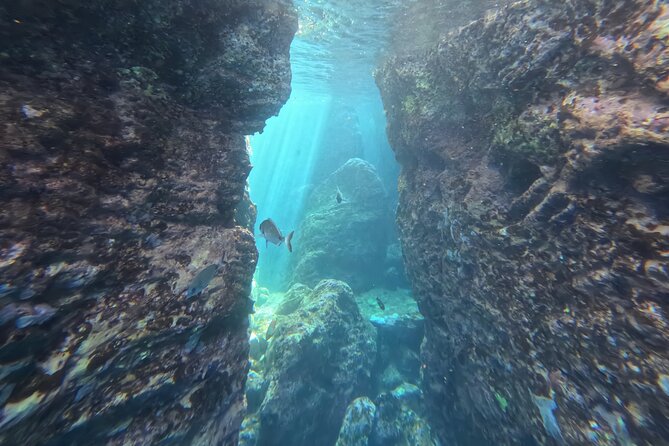 Snorkeling Tour Ilhéu from Vila Franca do Campo - Snorkeling time: how to make your short window count