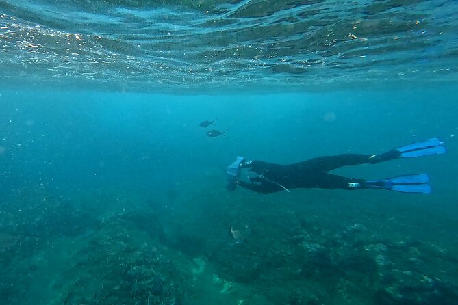 Snorkeling Tour Ilhéu from Vila Franca do Campo - The guides and the boat crew: attentive coaching matters