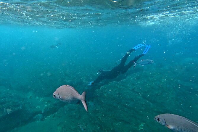 Snorkeling Tour Ilhéu from Vila Franca do Campo - Meet at Vila Watersports Center: what the start feels like