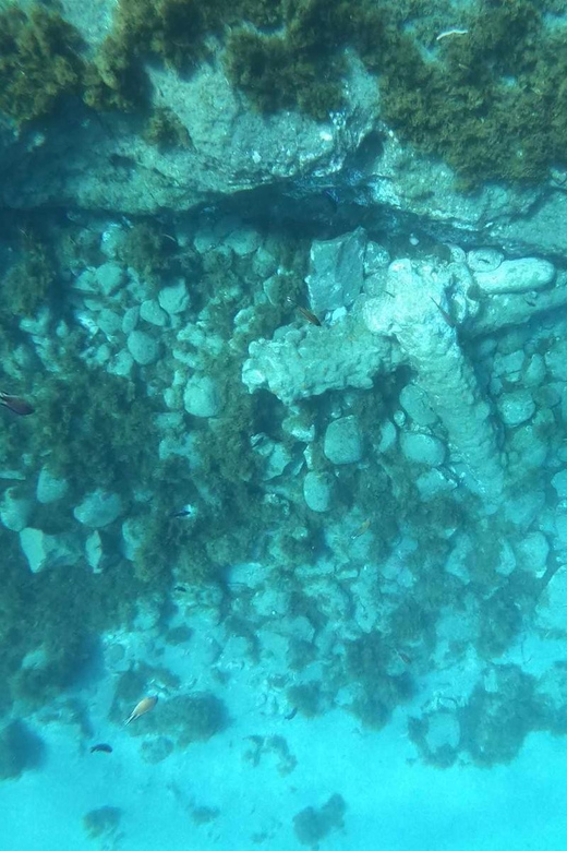 Snorkeling Tour- Vila Franca do Campo Islet - Snorkeling among volcanic rocks and protected wildlife