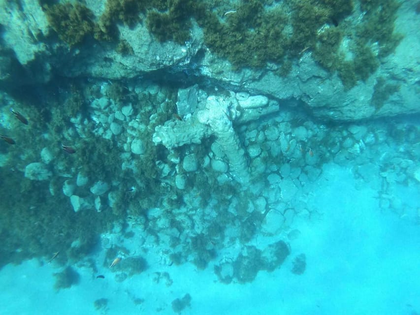 Snorkeling Tour- Vila Franca do Campo Islet - Who this tour fits best (and who should skip)