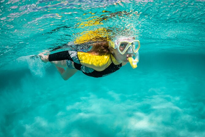 Snorkelling Trip at Ponta de São Lourenço Protected Area - Quick Key Points Before You Go