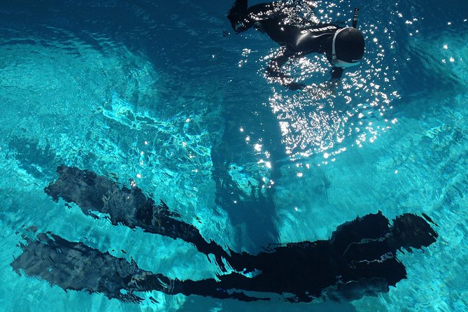 Snorkelling Trip at Ponta de São Lourenço Protected Area - Safety Briefing and First-Timer Comfort: What You’re Really Buying
