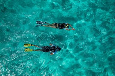 Snorkelling Trip at Ponta de São Lourenço Protected Area - The 2-Hour Swim Plan: How the Afternoon Actually Flows