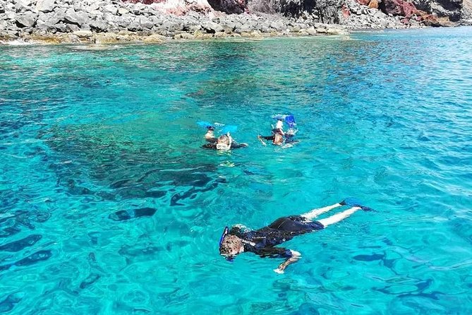 Snorkelling Trip at Ponta de São Lourenço Protected Area - What You’ll See: Fish, Crabs, and the Reality of Wildlife