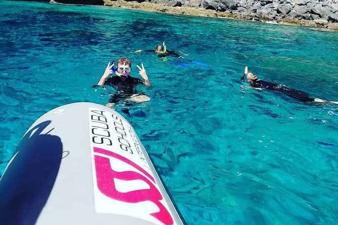 Snorkelling Trip at Ponta de São Lourenço Protected Area - Getting to Quinta do Lorde Marina: The Part You Must Plan