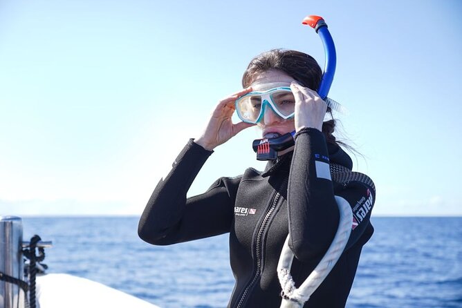 Snorkelling Trip at Ponta de São Lourenço Protected Area - Should You Book This Ponta de São Lourenço Snorkelling Trip?