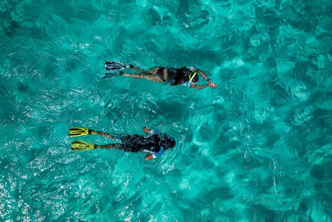 Snorkelling Trip at Ponta de São Lourenço Protected Area - The 2-Hour Swim Plan: How the Afternoon Actually Flows