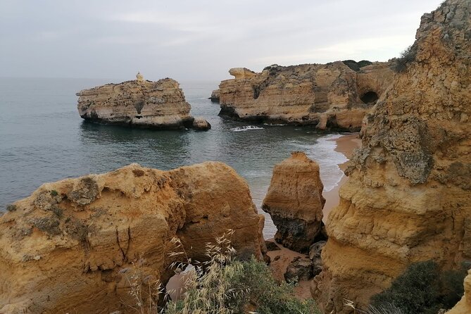 Special One Tour | Tuk Tuke Ride - Marina Albufeira: A Final Look at the Waterfront Scene