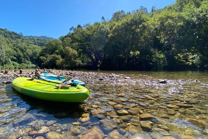 Stand-up-Paddle tour in Paiva river - The 6 km paddle stretch: wildlife spotting and real river time