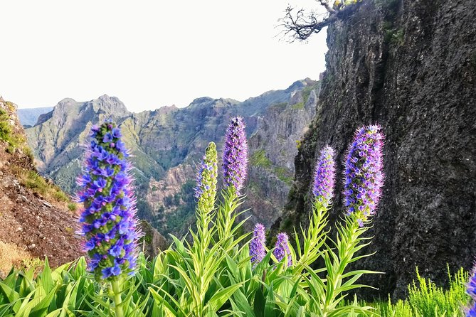 Sunrise Guided Hike PR1 Pico do Areeiro Pico Ruivo small group - Pickup at 6:00 am: the logistics that make or break the day