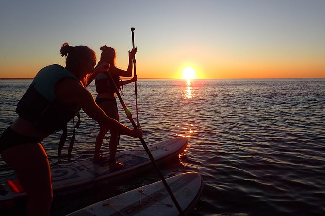 Sunrise SUP Caves Tour in Lagos – Small Group Experience - Gear, safety, and the 50m swim requirement