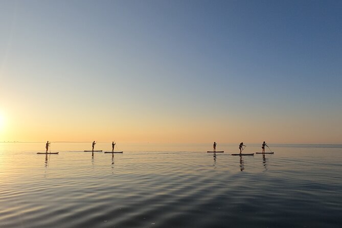 Sunrise SUP Caves Tour in Lagos – Small Group Experience - Who should book this sunrise SUP caves tour