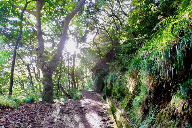 Sunrise Tour @ Pico Do Areiro | Half Day 4x4 Tour - The 4x4 ride: comfort, timing, and why it’s worth it