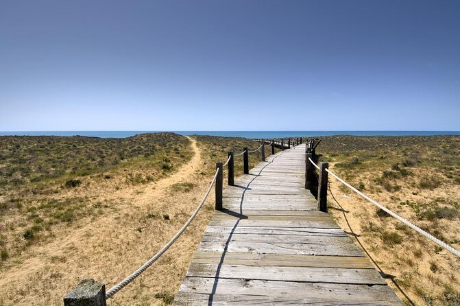 Sunset Beach Safari w/ Champagne & Chicken Piri Piri Dinner - Key things to know before you go