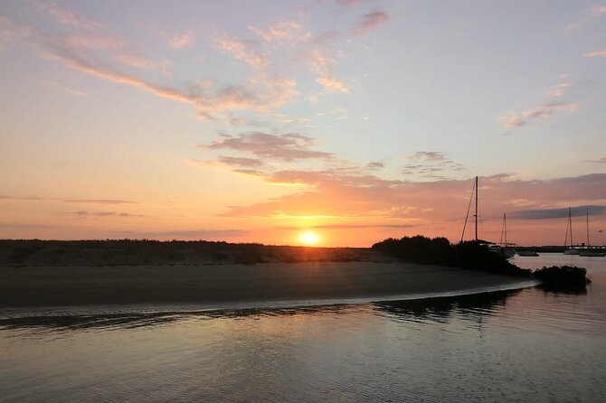 Sunset Boat Trip of Ria Formosa: an Eco-friendly Tour out from Faro - Wildlife Spotting in the Marshes: What to Look For