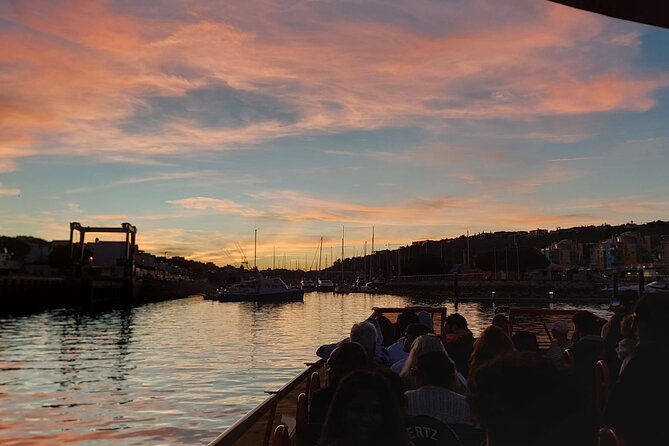 Sunset Cruise Marina Albufeira - Dolphins and Sea Life: A Nice Bonus, Not the Guaranteed Main Act