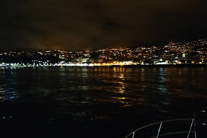 Sunset Cruise with Dinner on Board - Wildlife sightings: yes, it can happen, but don’t plan your whole night on it