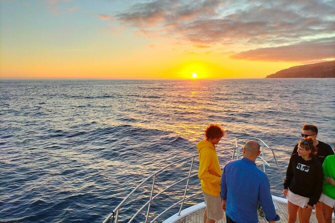 Sunset Cruise with Dinner on Board - Cruising southern Madeira: what you’ll actually see