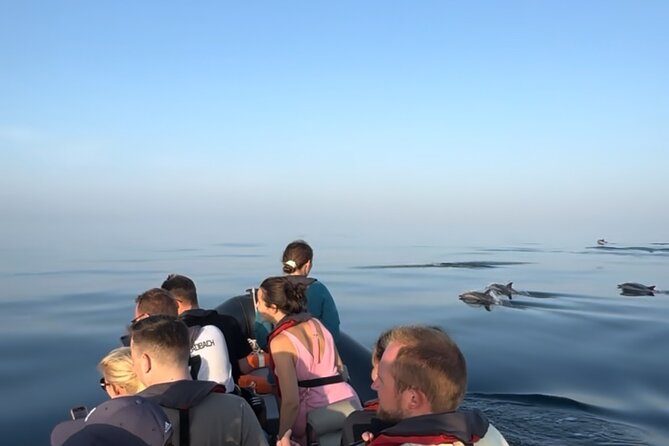 Sunset Dolphin Watching with Marine Biologists - Chances for Fin Whales and Minke Whales in Cooler Months