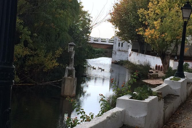 Sunset Safari - The 4x4 ride matters: Albufeira’s inland shortcut