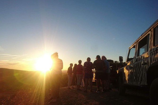 Sunset Safari - Price and value: is $51.29 a fair deal?