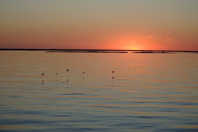 Sunset Tour | Ria Formosa - From Faro - The Cruise: What You’ll See During the Ride