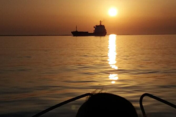 Sunset Tour | Ria Formosa - From Faro - Bird-Watching Tips That Improve Your Odds